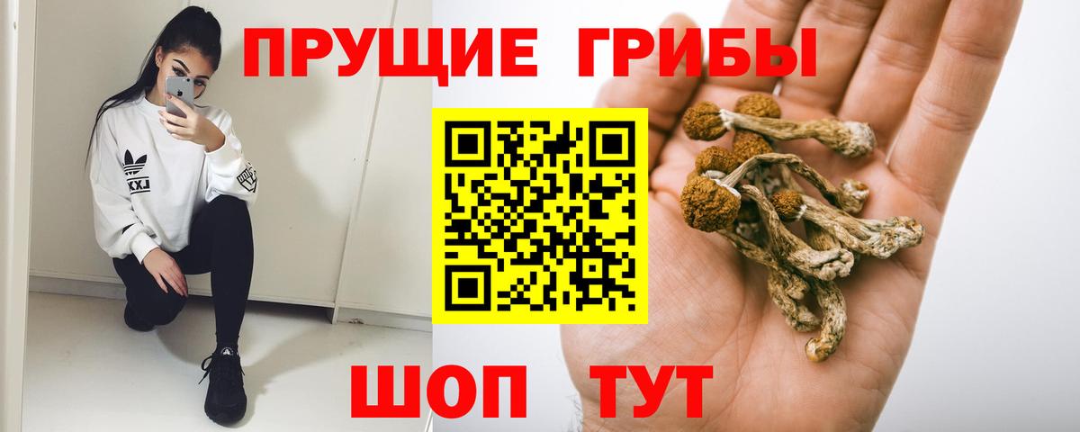 Галлюциногенные грибы мухоморы  Галлюциногенные грибы MAGIC MUSHROOMS  Вход с VPN  Жигулёвск 