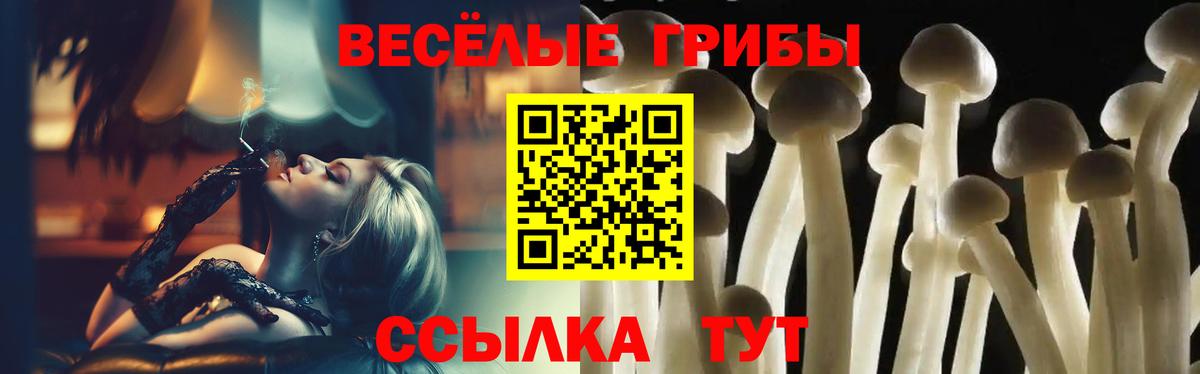 Галлюциногенные грибы мицелий Жигулёвск